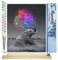 Figured'Art Peinture par Numéro Adulte Eléphant et explosion de Couleurs - Activité Manuelle Kit de Loisir Créatif DIY Numéro d'Art Complet - 40x50cm avec châssis en bois à monter