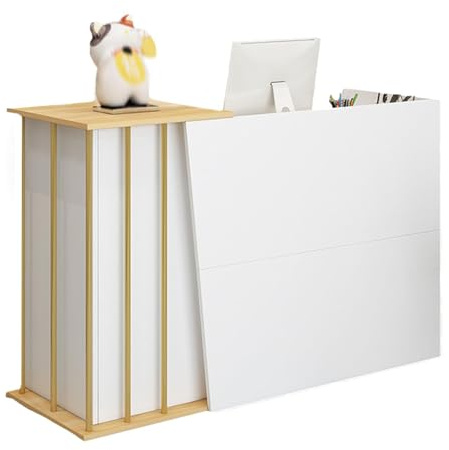 Empfangstheke, Rezeption Schreibtisch Theke Schreibtisch für Kasse & Einzelhandel, multifunktionale moderne Transaktion Theke, stehender Fronttisch für Büro, z(Size:120x40x90cm,Color:Warmweiß)