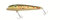 Zebco Biedron Wobbler Swanky Jack 9cm 14g, Farbe:Brown Trout