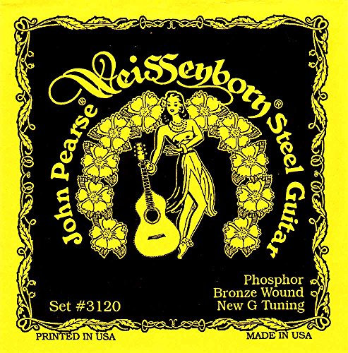 John Pearse JP Weissenborn Gitarrensaiten, G-Tuning, Set (3120)