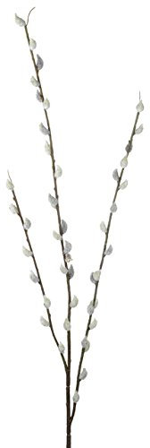 Floristrywarehouse Weidenkätzchen, künstlicher Frühlingszweig, 100 cm