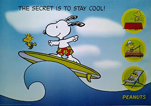 Peanuts: Snoopy & Woodstcok, Surfen | US Import Filmplakat, Poster [68 x 98 cm]