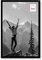 HAES DECO - Bilderrahmen/Wandrahmen/Fototür Kunststoff Easy Frame Schwarz 20 x 30 cm - EF4B