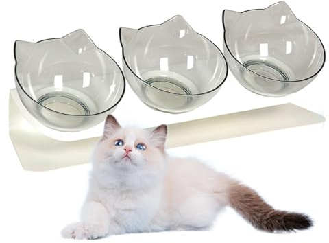 Bol pour Chats Écuelle Ergonomique Anti-Renversement pour Animaux