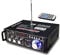 600W Amplificatore, NamYoprce HiFi Audio Stereo BT Radio Portatile per Auto o Casa, con Telecomando ed Mini Display 2CH LCD, 12 V / 220 V (600W)