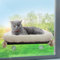 Hamaca Gato Ventana con Cama - Cama Ventana para Gatos - Hamaca para Gatos - Hamaca Gato Ventana - Gatos Accesorios - 20kg