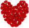 WINOMO 50 Stück Künstliche Rosen, 4cm Künstliche Rosenköpfe Rot, Kunstrosen Blumen Rote Rosen Köpfe Deko Blumenköpfe zum Basteln Party Hochzeit Blumensträuße Tischdeko