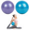 TAFACE 2 Pilatesbälle, 25 cm, klein und tragbar, Stretching Yoga-Bälle, Balance-Bälle für Sport, geeignet für Pilates, Yoga, Gymnastik, Fitness (Violett, Blau)