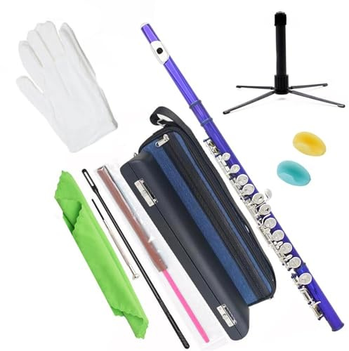 16-Tasten-C-Ton-Schülerflöte Mit Geschlossenem Loch, Tragbarem Rucksack Und Zubehörset Querflöte für Anfänger (Color : B)