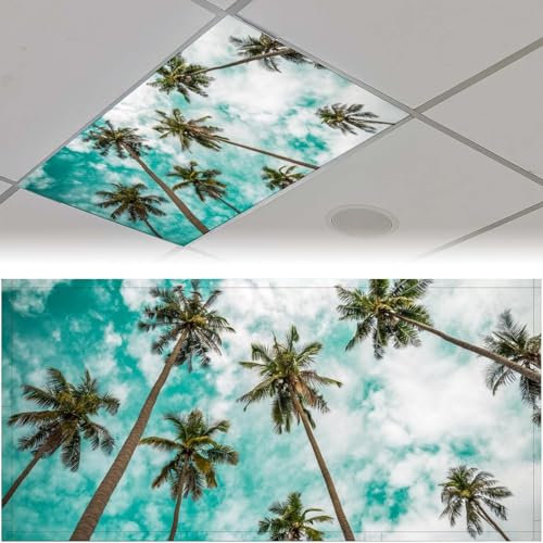 2 Pcs Fluorescent Light Covers for Ceiling Lights - Magnetic Fluorescent Light Covers for Classrooom, Light Filters Drop Fluorescent Light Shade Panel for Office Home School,2 X 4 Ft