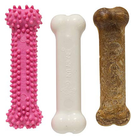 Nylabone Lot de 3 Jouets à mâcher et friandises Naturelles pour Chiots – Rose, saveur Poulet et Bacon, Taille S – Jusqu'à 25 kg