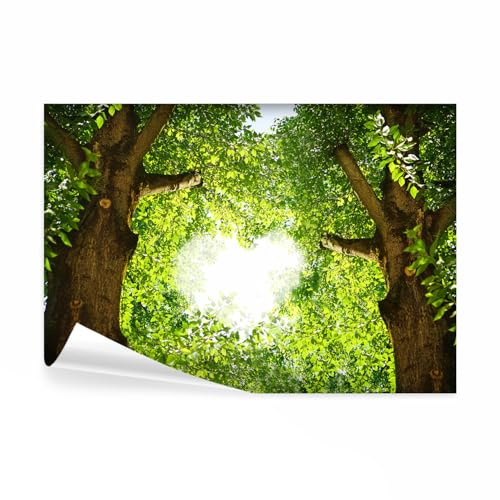 decomonkey Fototapete selbstklebend Waldatur, 294x210 cm, XL, Baum Herz | Selbstklebende, Tapeten, Wand, Fototapeten, Tapete, Wandtapete, klebend, Klebefolie