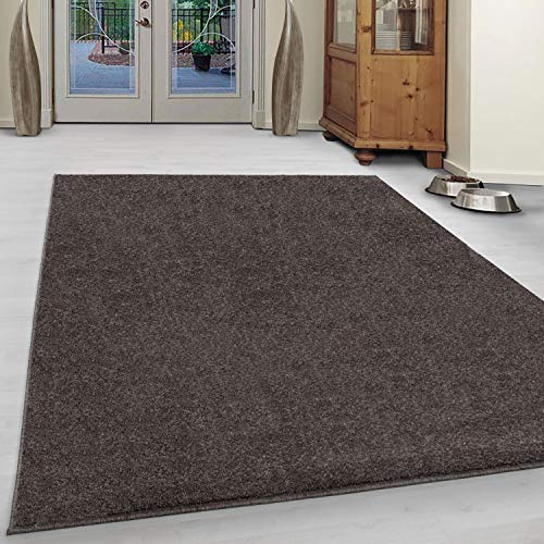 Ayyildiz Teppich-Teppich Modern Designer einfarbig kurzflor, Polypropylen, Mocca, 60 X 100