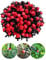 Suinga Pack 100 Gotero Regulable para Riego de 0 a 70 Litros | Gotero Rojo Ajustable | Goteros para Riego por goteo, rojo