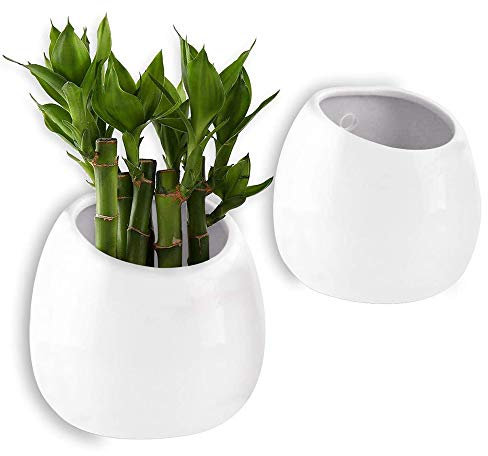 Omenluck 2 macetas de cerámica para colgar en la pared