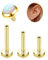 Adramata G23 Titan Helix Tragus Labret Lippenpiercing Medusa Innengewinde Medizinische Ohrstecker Ohr Klein Conch Gold Silber