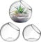3 Pcs Glass Terrarium Bowls Vases for Succulent Plants, Decorative Glass Containers for Home Office Decor, Transparent