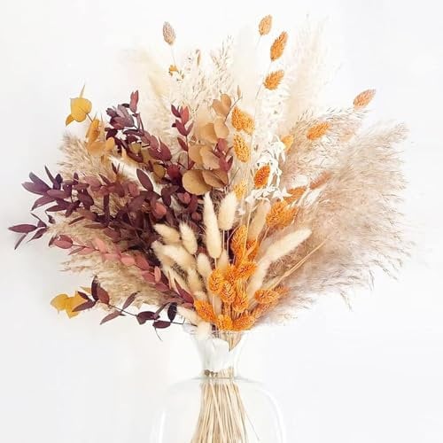 64 Stück Getrocknetes Pampasgras-Bouquet, Bunny-Tails-Trockenblumen, Schilfgrasstrauß, Natürliche Trockenblumen, Pampasgras Getrocknet