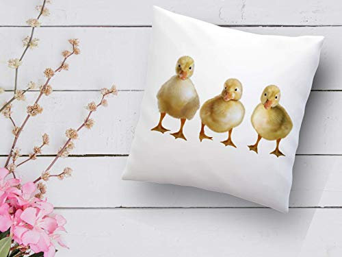 Kissen mit Entchen Landhausstil Enten Küken