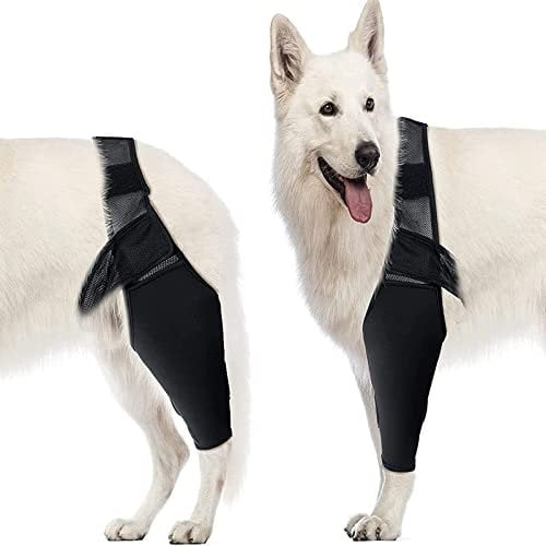 Fabater Ellenbogenschutz für Hunde, Ellenbogenbandage für Hunde, Ellenbogen- und Schulterstütze für Hunde, Kniebandage für Hunde bei Dysplasie, Arthritis, Dekubitus, Schulterluxation (L)