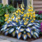1000 pcs graines de Hosta vivace, graines de fleurs vivaces tolérantes au froid, graines de variétés hosta, pour plantation jardin extérieur, ombre, attire abeilles et papillons (Jaune bleu)