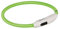 Trixie Flash USB Anillo de luz para Gatos, 35 x 7 mm, Color Verde