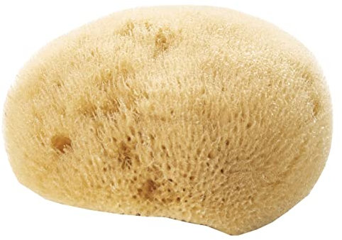 Avril Thin Natural Face Sponge