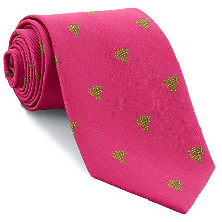 Cencibel Smart Casual Corbata Cactus (Fondo Fucsia Cactus Verde)