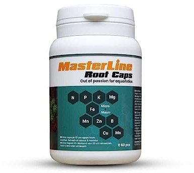 Masterline Root Caps 60 Stk.