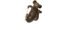 Pot Buddies Handmade Koala and Cub Figure Plant Pot Hanger - Decorative Hanging Garden Ornament - Flower Planter Figurine