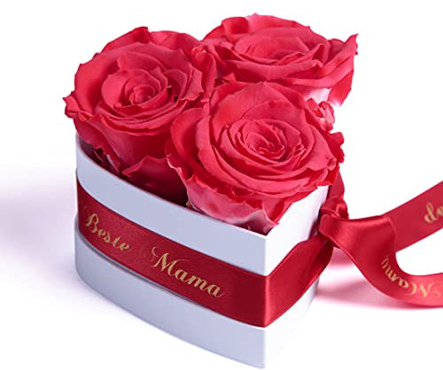ROSEMARIE SCHULZ Heidelberg Für die Beste Mama der Welt 3 ewige Rosen Box Herz Geschenk zum Muttertag mit Blumen (Korall, 3 Rosen Für die Beste Mama der Welt)
