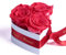 ROSEMARIE SCHULZ Heidelberg Für die Beste Mama der Welt 3 ewige Rosen Box Herz Geschenk zum Muttertag mit Blumen (Korall, 3 Rosen Für die Beste Mama der Welt)