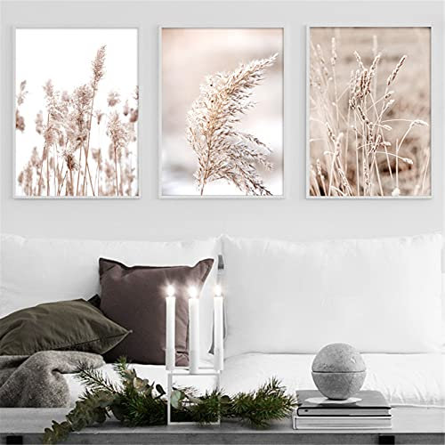 RAILONCH Premium 3er Poster Set, Beige Pampas Bilder Set, ohne Bilderrahmen, Moderne Bilder Wanddeko, Wandbilder für Wohnzimmer Schlafzimmer (30x40cm)