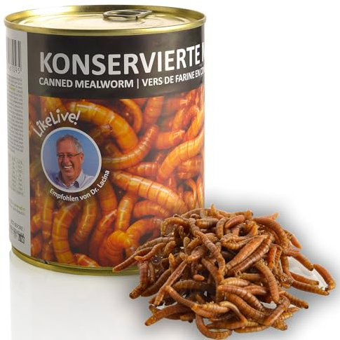 UGF – Saftige Konservierte Mehlwürmer, 490g, Vogelfutter Wildvögel Ganzjährig, Igelfutter, Eichhörnchen Futter, Hamster Futter