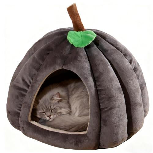 Petmarket Katzenbett für Hauskatzen – Entzückende, gemütliche Kürbis-Katzenhöhle mit abnehmbarem Kissen, superweiches Haustierhauszelt für Kätzchen und kleine Haustiere, warmes und waschbares