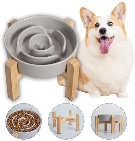 Gamelle Anti-Glouton Surélevée pour Chien - Bol en Céramique avec Support en Bambou - Idéale pour Chiens de Petite et Moyenne Taille - Grise - 17 cm