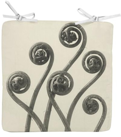 Fabulous Stuhlkissen, quadratisch, Farn, Spirale, Natur, Foto, antik, Schwarz und Weiß, einfarbig, 40 cm