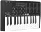 lvifloae 25 Key Midi Keyboard Smk 25 Midi Controller Portable Arranger Keyboard Rgb Percussion Pads Smart Functions Easy to Use Suitable for Professional Music Producers, Music Lovers