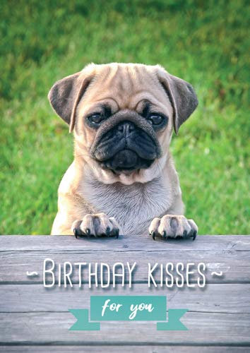 modern times -3er Set Postkarte LUSTIG - Motiv: BIRTHDAY KISSES FOR YOU MOPS, Anlass: Geburtstag Tiere, Künstler/Verlag: UPART, Größe: A6