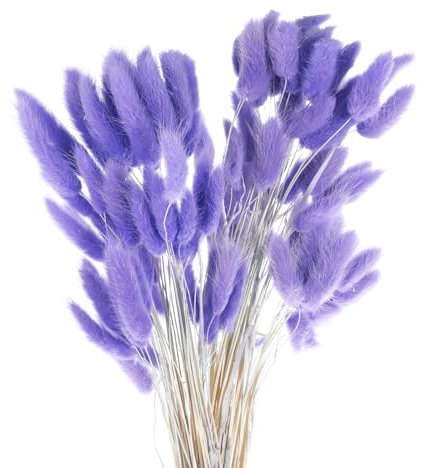 QUARKZMAN 120 Stück Natürliche Kaninchenhäschen-Schwänze Getrocknete Blumen 24 Mini-Pampasgras Lagurus Ovatus Bund für Florale Hochzeitsdekoration Weihnachten, Lavendel Lila