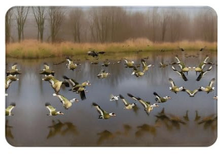 Abarty Fußmatte mit Jagd-Motiv fliegende Wildenten für Eingang/Garage, Terrasse, Eingangsmatte für den Innen- und Außenbereich