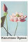 Lotus Flowers by K.Ogawa Poster - Deko Wohnzimmer oder Deko Schlafzimmer - Deko Wohnzimmer - Größe : 61 x 91 - Offizielle Lizenz