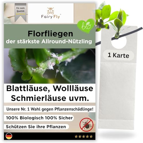 FairyFly Florfliegenlarven gegen Blattläuse, Wollläuse, Thripse & Spinnmilben– praktische Karten zum Aufhängen – 1 Karte für 1-2 Pflanzen – effektiv für Gemüse, Zierpflanzen & mehr