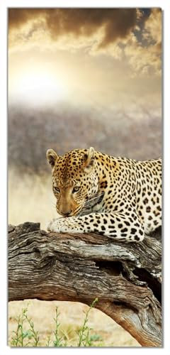 Wallario Selbstklebende Türtapete Leopard auf Baumstamm in Afrika - Türposter 93 x 205 cm Abwischbar, rückstandsfrei zu entfernen