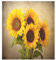 Grckit Autocollant vintage pour lave-vaisselle Motif tournesols 58,4 x 66 cm