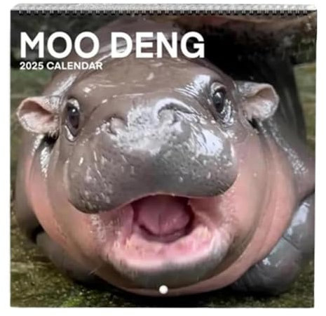 Moo Deng Kalender 2025, lustiger Baby-Moo Deng Pygmy Nilpferd zum Aufhängen, Monatskalender, 12 für Tierkalender, Monatsplaner