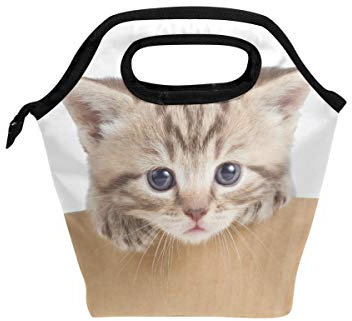 Mnsruu Bolsa de Almuerzo Pequeño Gatito Neopreno con Aislamiento Termal Lonchera Escuela Picnic para niños, niñas, niños, Hombres