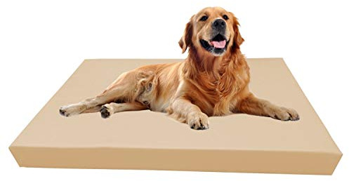 Barry & Lucy® Hundebett aus Kunstleder – Orthopädisches Hundekissen mit abnehmbarem Bezug wasserabweisend & pflegeleicht in 2 Größen Robustes Bett (125x100x10, beige)
