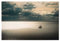 artboxONE Poster 30x20 cm Natur Vom Winde verweht hochwertiger Design Kunstdruck - Bild rügen Landscape Landschaft