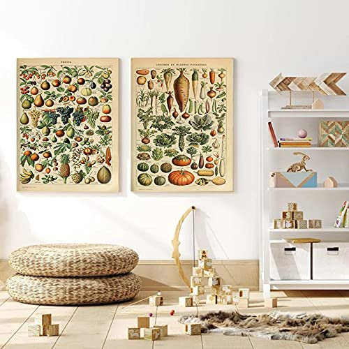 Leinwand Malerei Bilder Vintage Obst Gemüse Hülsenfrüchte Diagramm von Adolphe Millot Wandkunst Poster Drucke Küche Dekor 30x50cm (12x20in) Rahmenlos